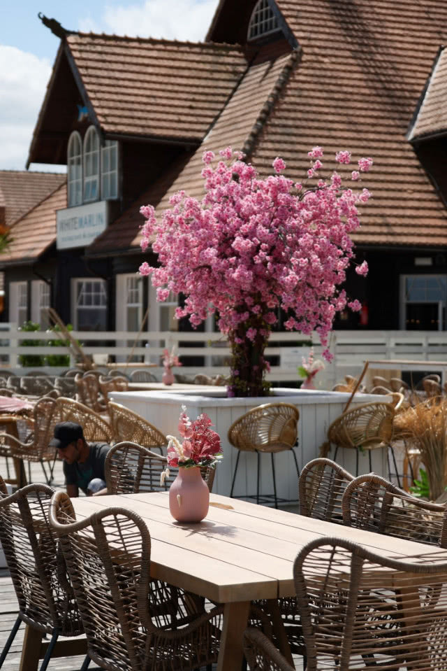 Designerski bar nad morzem