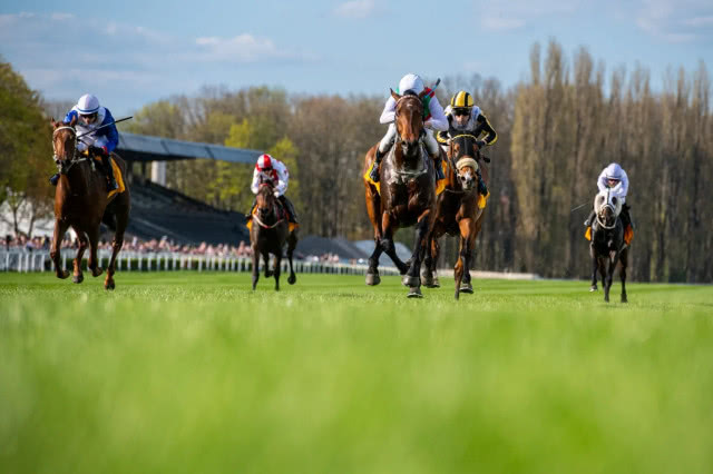 Konie w galopie, ujęcie z pozycji żaby