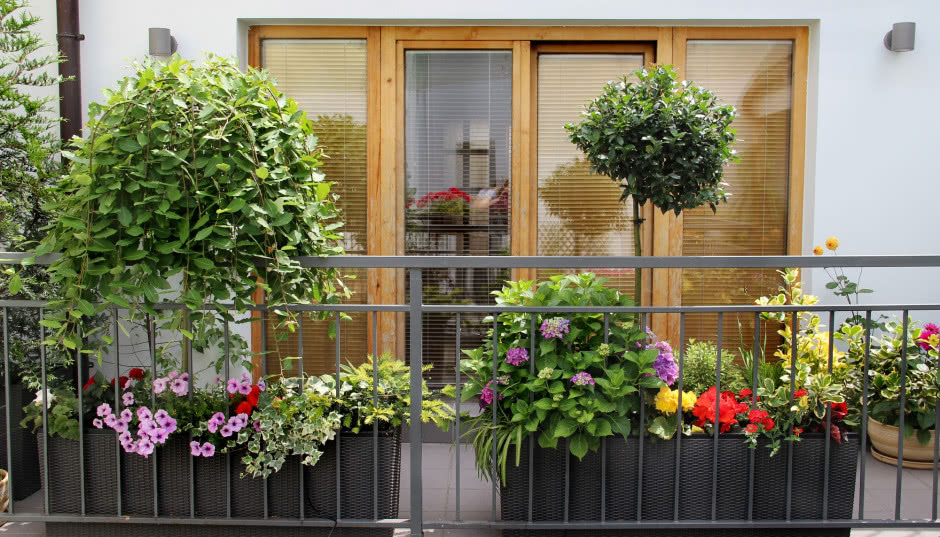 Jak osłonić balkon? Pomysły na zakrycie barierek balkonowych