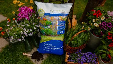 Dlaczego warto kupować ziemię z mikroorganizmami, a nie kopać ziemię z ogródka? 