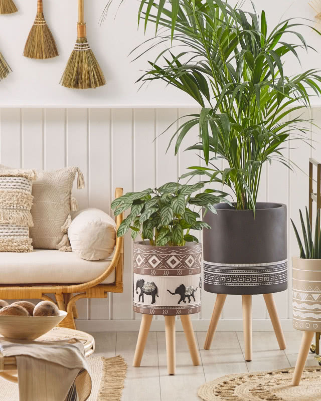 kwietniki mniejsze i większe