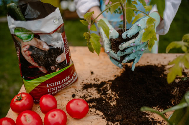 Podłoże uniwersalne  
z mikroorganizmami jest idealne do uprawy warzyw, bo zawiera bogatą mikroflorę bezpiecznych bakterii kwasu mlekowego, bakterii fotosyntetyzujących  
oraz drożdże.  
GREEN GARDEN