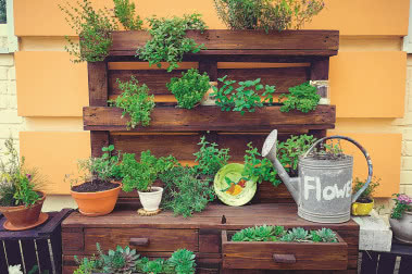 Bądź eko! Uprawiaj zioła i warzywa!