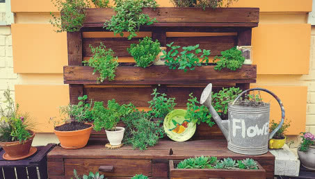 Bądź eko! Uprawiaj zioła i warzywa!