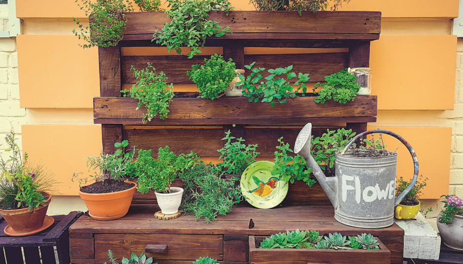 Bądź eko! Uprawiaj zioła i warzywa!