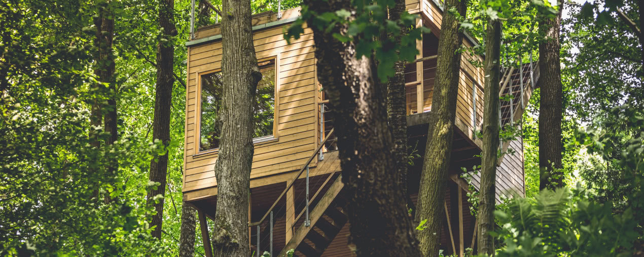 Ekologiczne domy W DRZEWACH