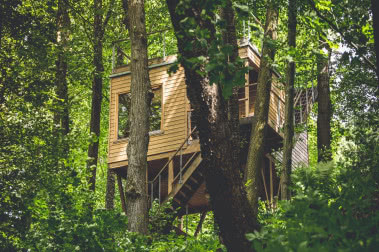 Ekologiczne domy W DRZEWACH