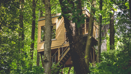 Ekologiczne domy W DRZEWACH