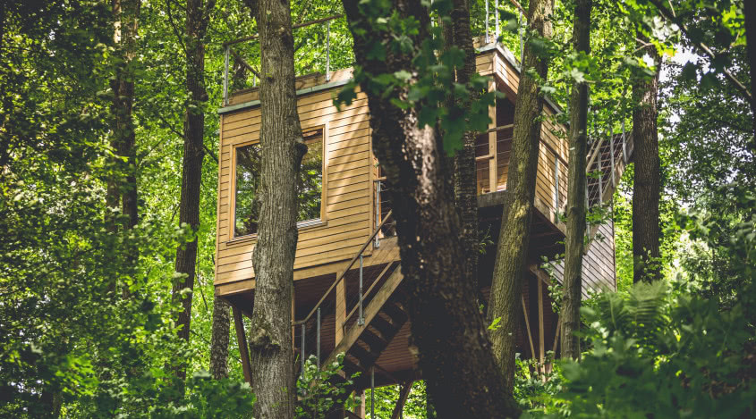 Ekologiczne domy W DRZEWACH