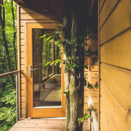 Ekologiczne domy W DRZEWACH