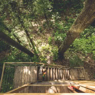 Ekologiczne domy W DRZEWACH