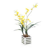 Stroik kwiat w skrzynce