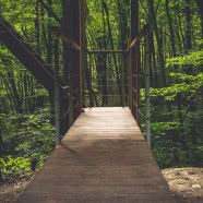 Ekologiczne domy W DRZEWACH