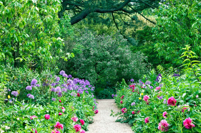 Angielski ogród czym się charakteryzuje i jak go zaplanować? Trendy ogrodnicze 2025