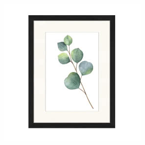 Oprawiony druk cyfrowy Eucalyptus II, Jacob Baden, WESTWING NOW, 259,90 zł