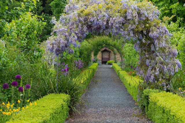 romantyczny ogród angielski