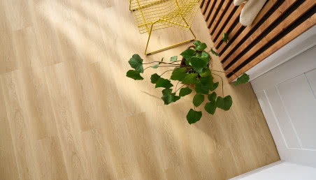 Polskie panele Arbiton podbijają świat! Nagroda Red Dot Design Award 2024