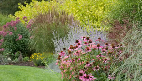 Angielski ogród czym się charakteryzuje i jak go zaplanować? Trendy ogrodnicze 2025