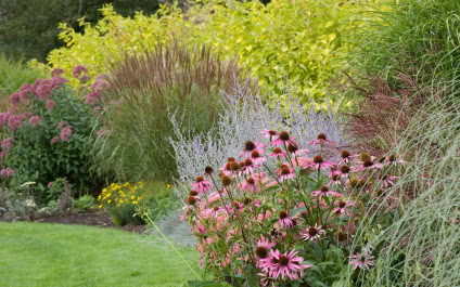 Angielski ogród czym się charakteryzuje i jak go zaplanować? Trendy ogrodnicze 2025