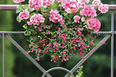 Ale błogo! Ogród w sielskim stylu