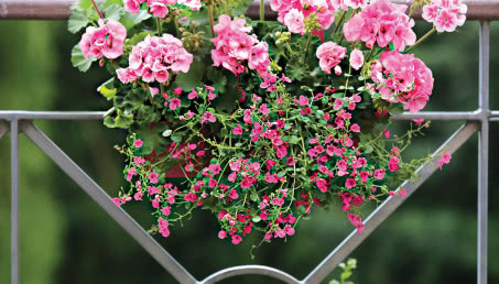 Ale błogo! Ogród w sielskim stylu