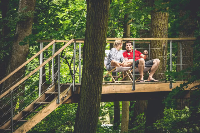 Ekologiczne domy W DRZEWACH