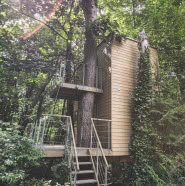 Ekologiczne domy W DRZEWACH