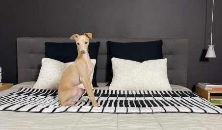 Maurycy Gomulicki dla marki Hogai: hipnotyzująca kolekcja op-artowych koców i narzut