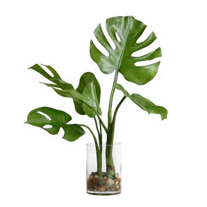 Dekoracja kwiatowa, HK Living, LE PUKKA, 460 zł