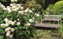 Jakie kwiaty do zacienionego i nasłonecznionego ogrodu?