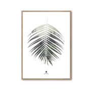 Doniczka ścienna Trigg, 2 szt., Umbra, FABRYKA...