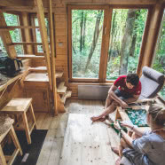 Ekologiczne domy W DRZEWACH