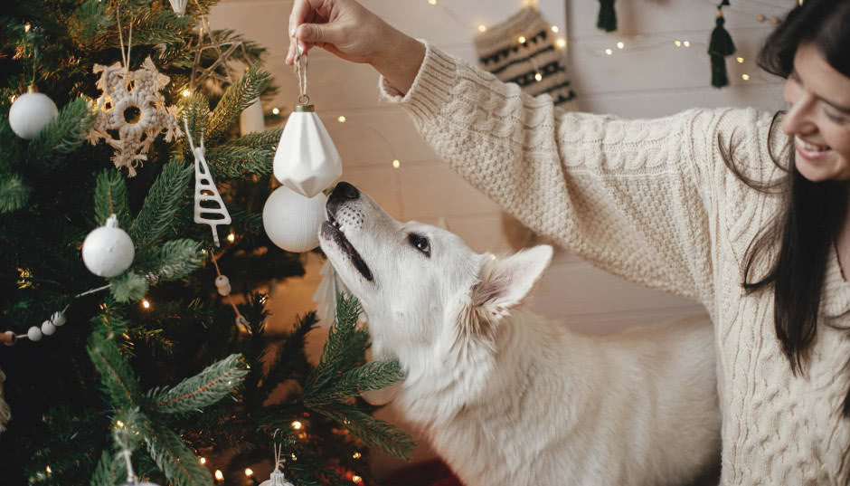 Jak ubrać choinkę? Modne ozdoby choinkowe 2024