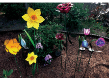 Kwiaty solarne do ogrodu i na taras - Aurora Garden 