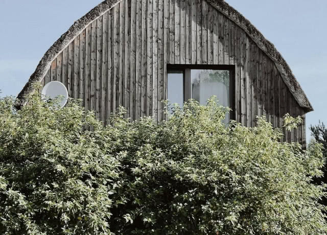 dom z surowych desek za drzewem