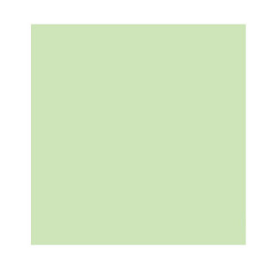 Farba do ścian Zielony Kiwi, poj. 5 l