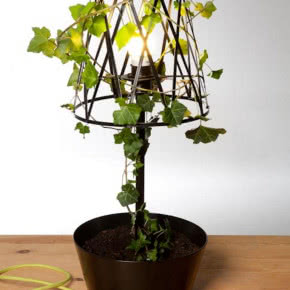 Młodzi polscy projektanci