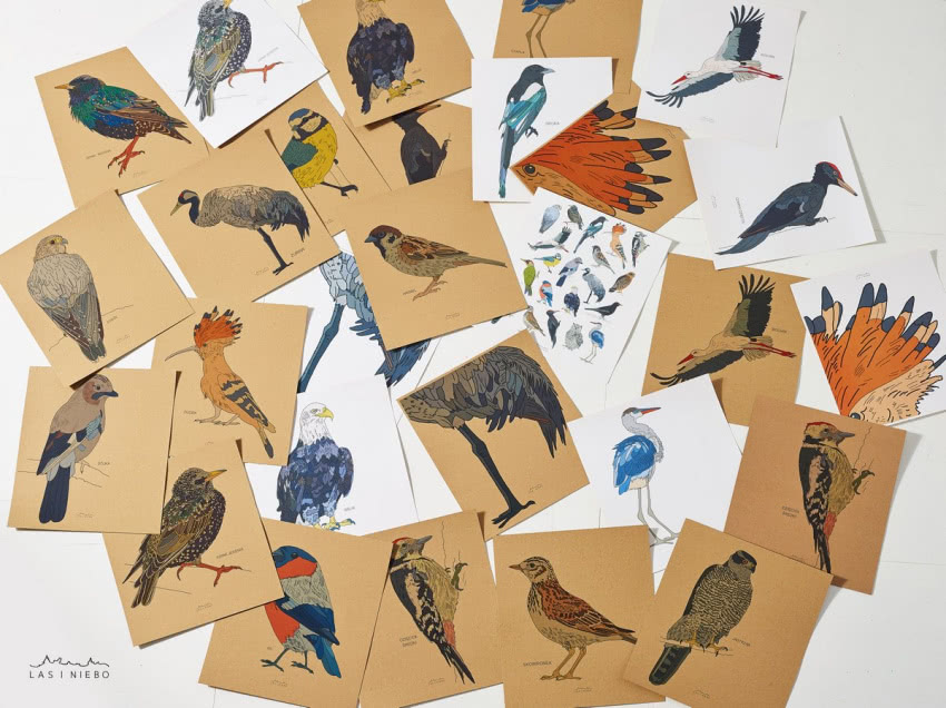 Skrzydlate stado 
"Halo! halo! Tutaj ptasie...