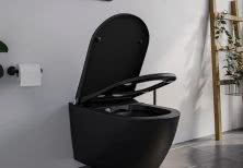 Nowość od Bernstein - WC 1102 Premium w matowej czerni 