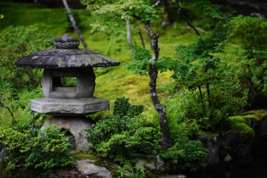 Jak urządzić ogród w japońskim stylu? Założenia i aranżacje japońskiego ogrodu