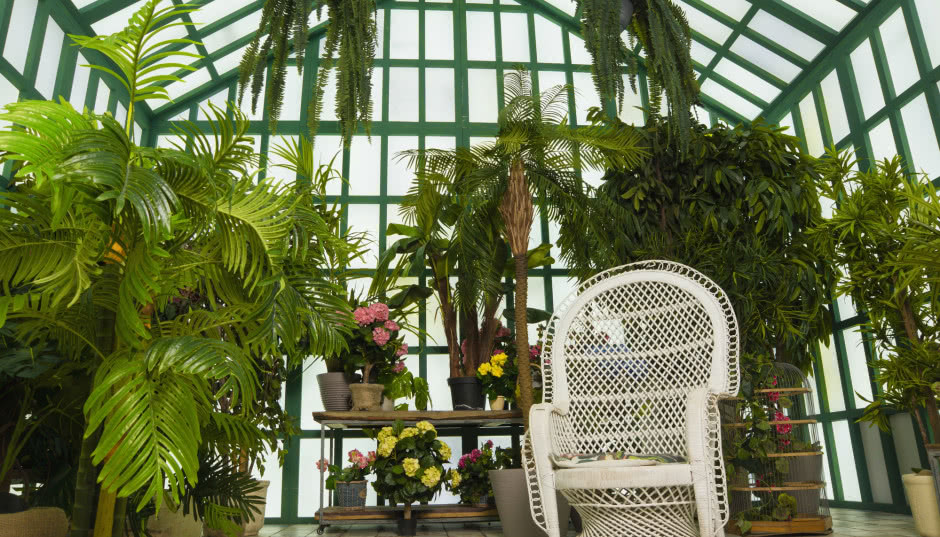 Ogród zimowy - zielona strefa przez cały rok