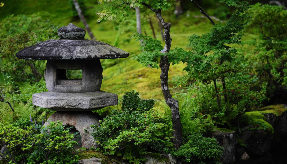 Jak urządzić ogród w japońskim stylu? Założenia i aranżacje japońskiego ogrodu
