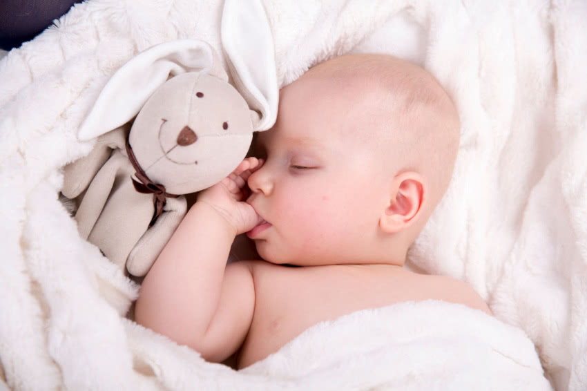 Przytulanka królik, TULI