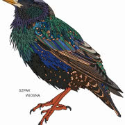 Drzewo pełne niespodzianek Przed tą piękną...