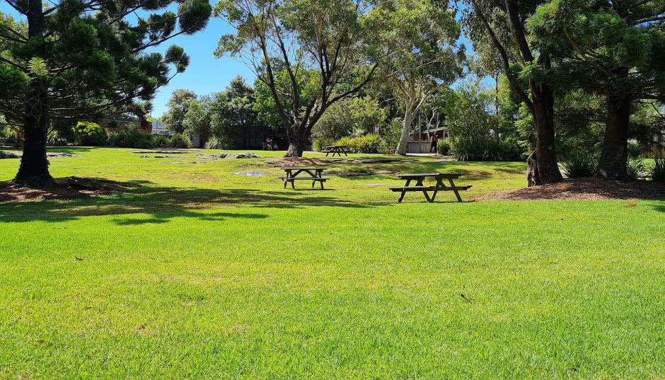 Siew trawy. Przygotowanie gleby i terminarz prac 