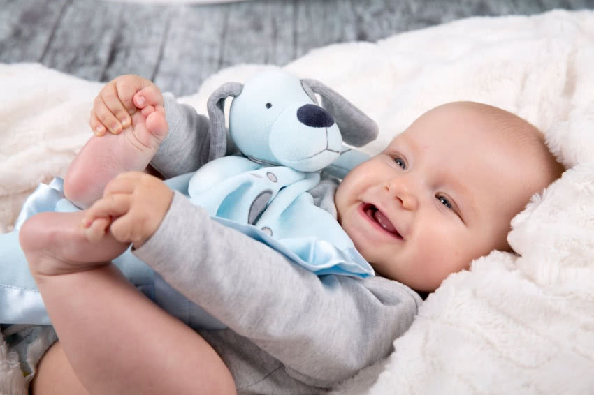 Przytulanka piesek, TULI