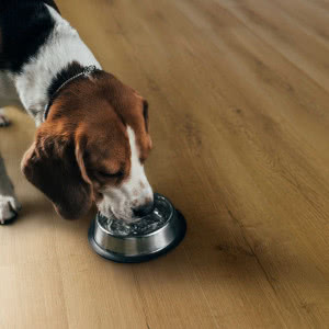 VIN IN - panele winylowe, które dopasujesz do swojego stylu