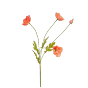 Sofa Josh, MOROSO, cena na zapytanie