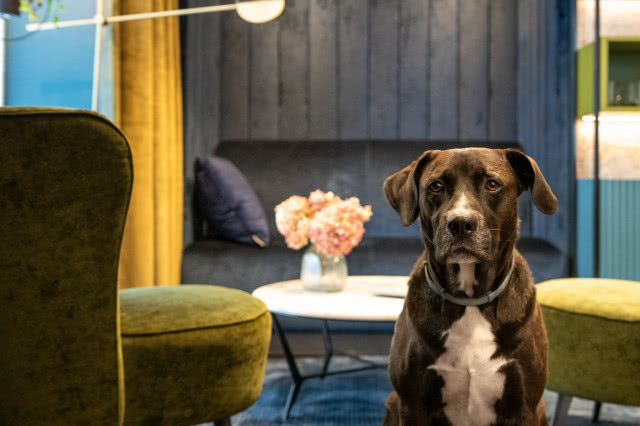 Najlepsze biuro w Europie według European Property Awards 2019