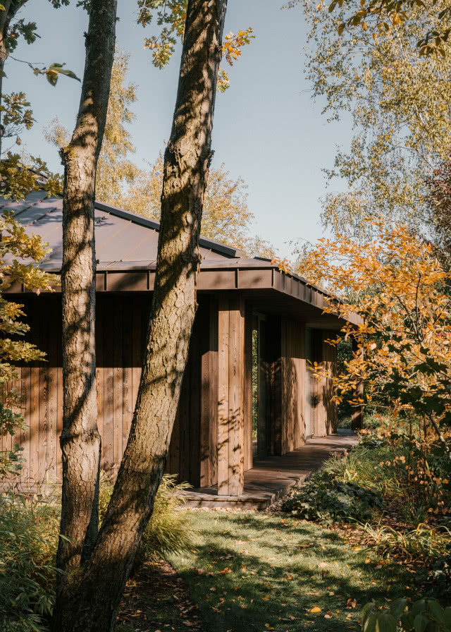 ciemny siding, ujęcie od tyłu domu
